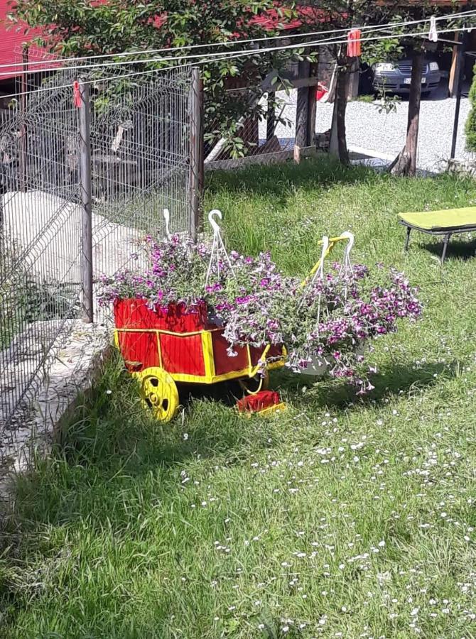 Pensiunea Io-Mara Vatra Dornei Exteriér fotografie