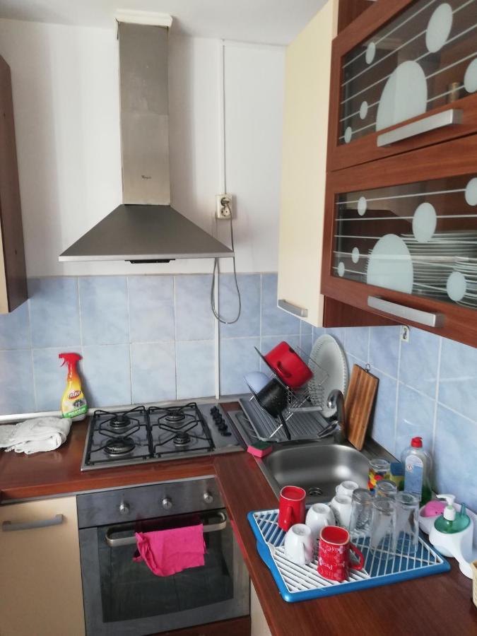 Pensiunea Io-Mara Vatra Dornei Exteriér fotografie